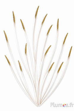 Gans gouden glitters - 16-18 cm - wit